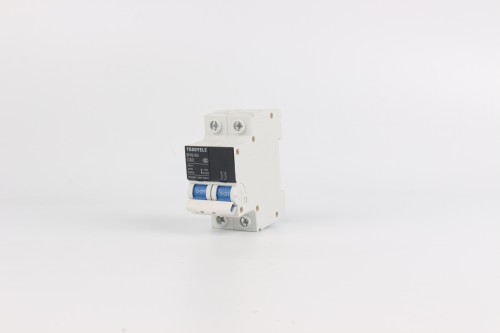 Circuit breaker BY6-63 2P
